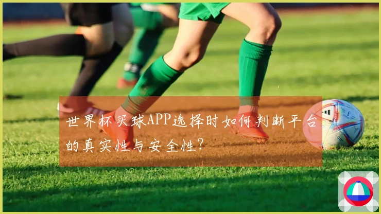 世界杯买球APP选择时如何判断平台的真实性与安全性？