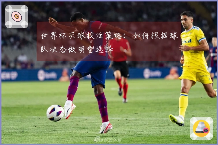 世界杯买球投注策略：如何根据球队状态做明智选择