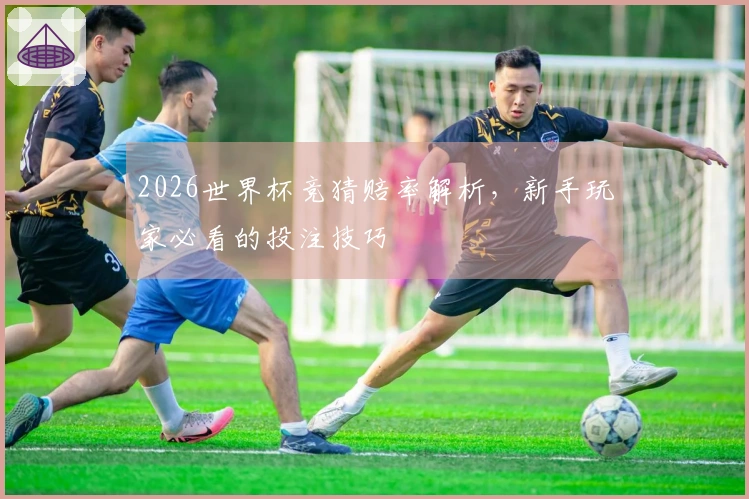 2026世界杯竞猜赔率解析，新手玩家必看的投注技巧