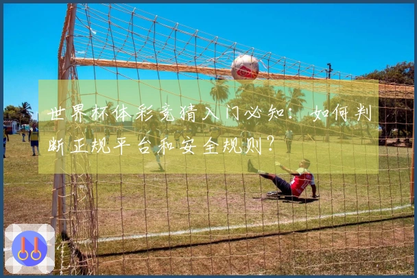 世界杯体彩竞猜入门必知：如何判断正规平台和安全规则？