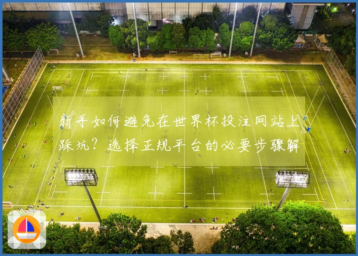 新手如何避免在世界杯投注网站上踩坑？选择正规平台的必要步骤解析