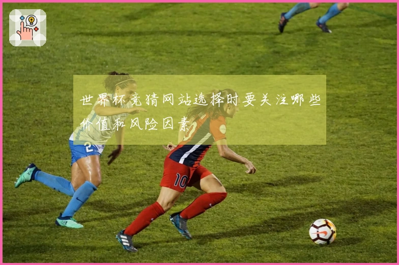 世界杯竞猜网站选择时要关注哪些价值和风险因素