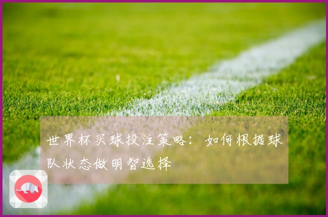 世界杯买球投注策略：如何根据球队状态做明智选择